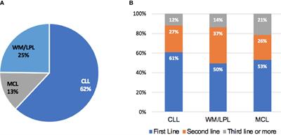 Real-world treatment patterns, discontinuation and clinical outcomes in patients with B-cell lymphoproliferative diseases treated with BTK inhibitors in China